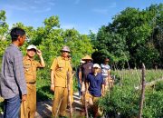 Dukung Petani, PJ Bupati OKU Kerjasama Bulog Beli Hasil Petani