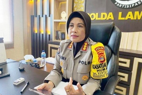 Gajah Liar Masuk Penukiman, ini Penjelasan Kapolda Lampung