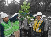 1000 Pohon Nangka ditanam di Lahan Ex Tambang PTBA